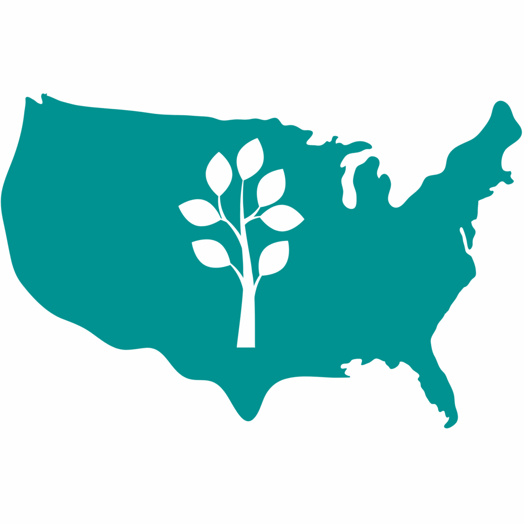 United states with flower on teal